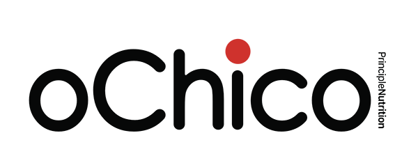 OCHICO logo